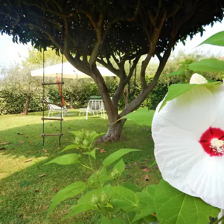 Holiday Apartamento Lazise